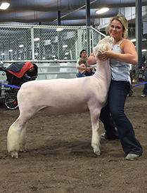 Silver Smith genetics Winners