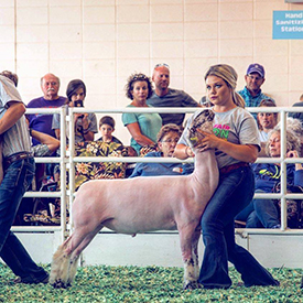 Silver Smith Genetics Winners