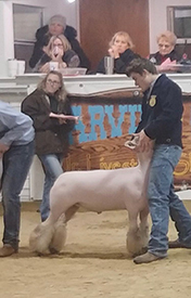 Silver Smith Genetics Winners
