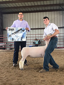 Silver Smith Genetics Winners
