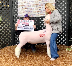 Silver SMith Genetics Winners