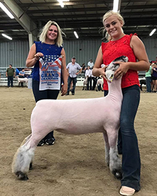 Silver Smith Genetics Winners